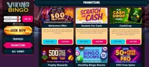 Viking Bingo Promotions