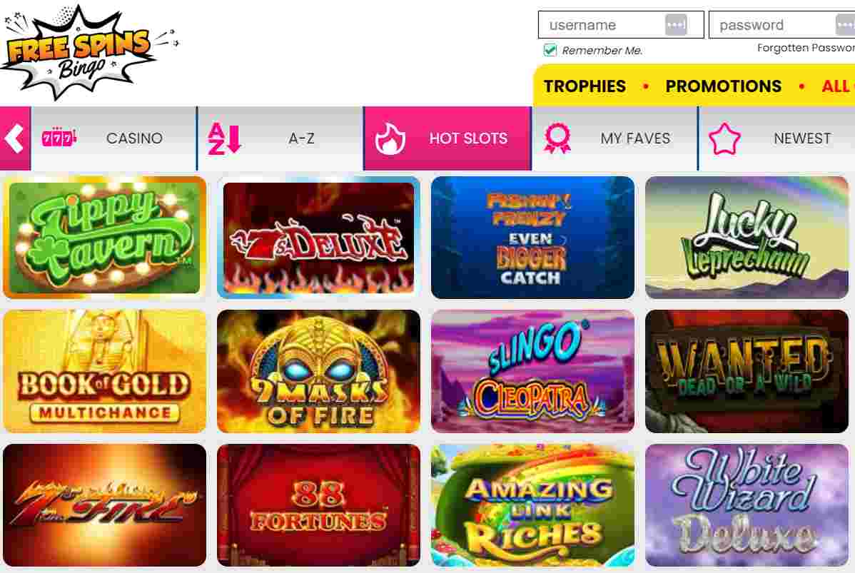 Free Spins Bingo Slots