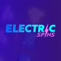 logo image for electric spins